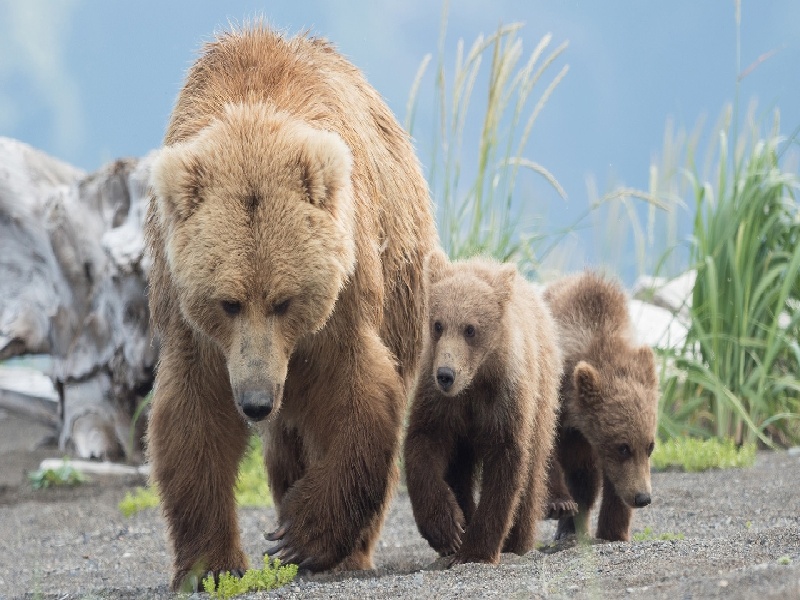 李先生夫妇成功案例